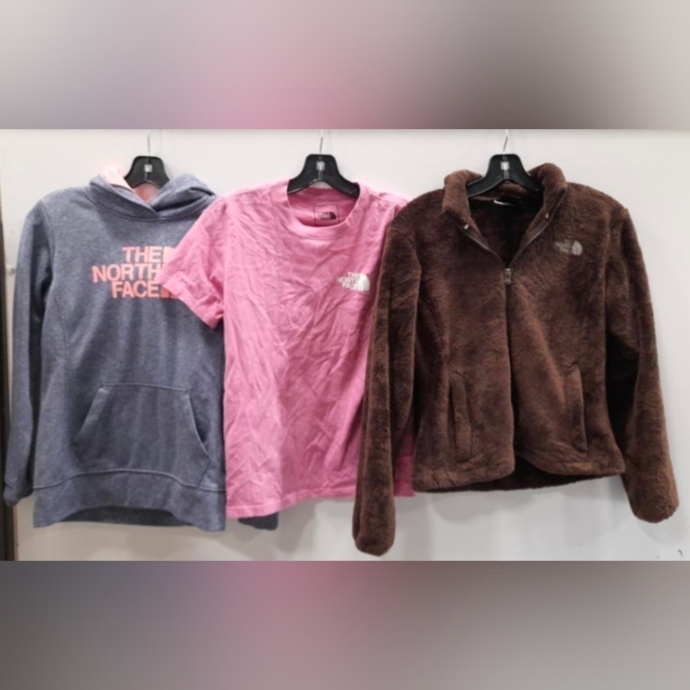 The North Face Pink Sweatshirt Cozy and Stylish